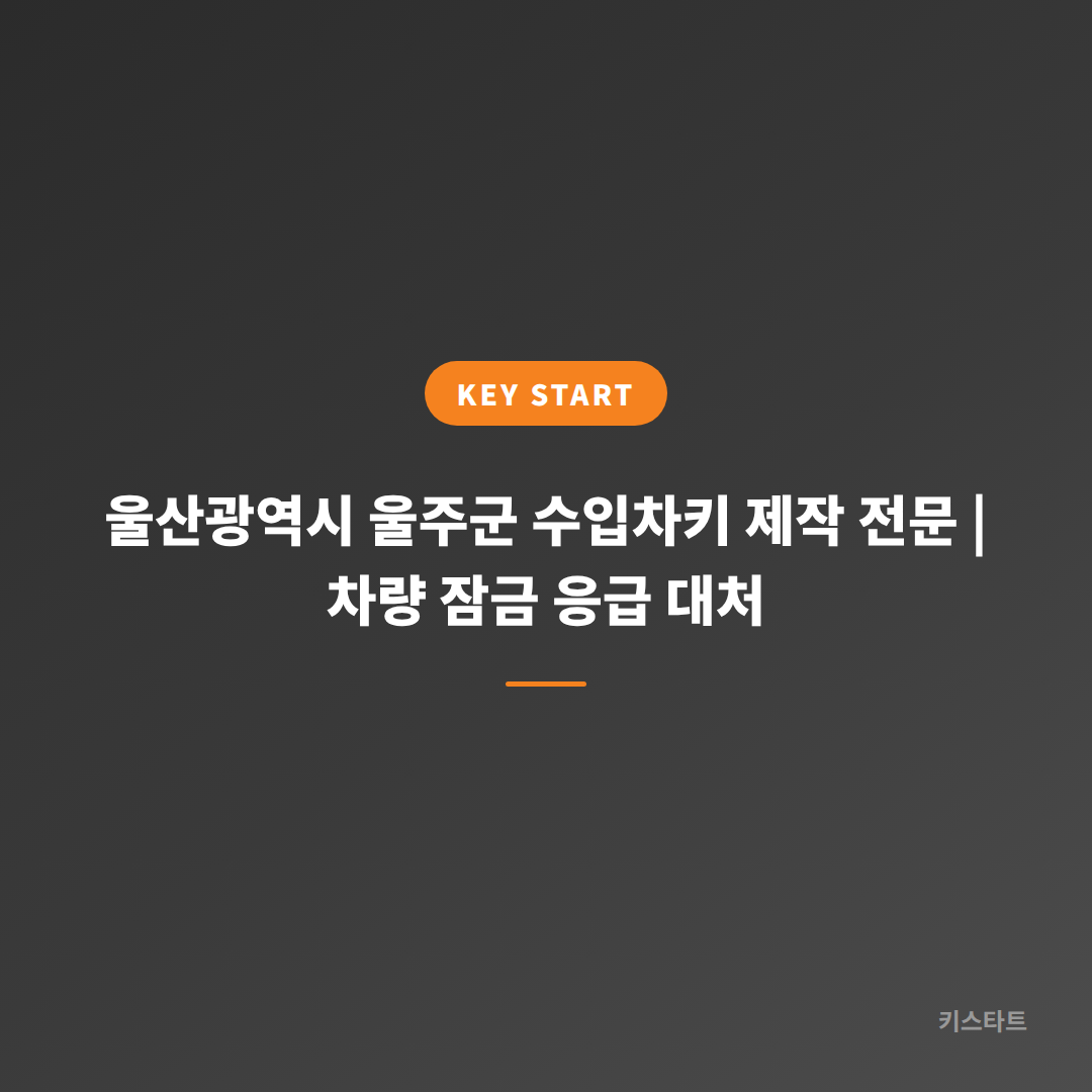 울산광역시 울주군 수입차키 제작 전문 | 차량 잠금 응급 대처 대표 이미지