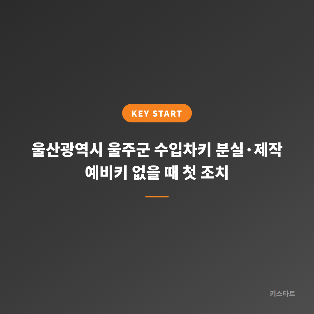 울산광역시 울주군 수입차키 분실·제작 예비키 없을 때 첫 조치