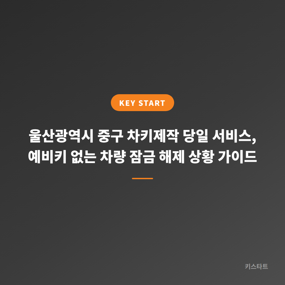울산광역시 중구 차키제작 당일 서비스, 예비키 없는 차량 잠금 해제 상황 가이드