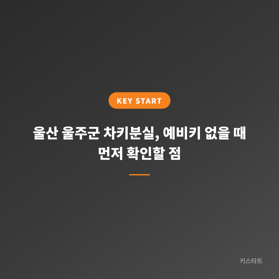 울산 울주군 차키분실, 예비키 없을 때 먼저 확인할 점