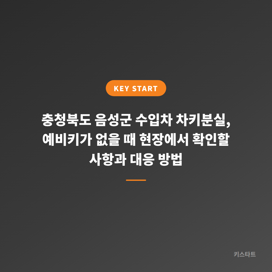 충청북도 음성군 수입차 차키분실, 예비키가 없을 때 현장에서 확인할 사항과 대응 방법 대표 이미지