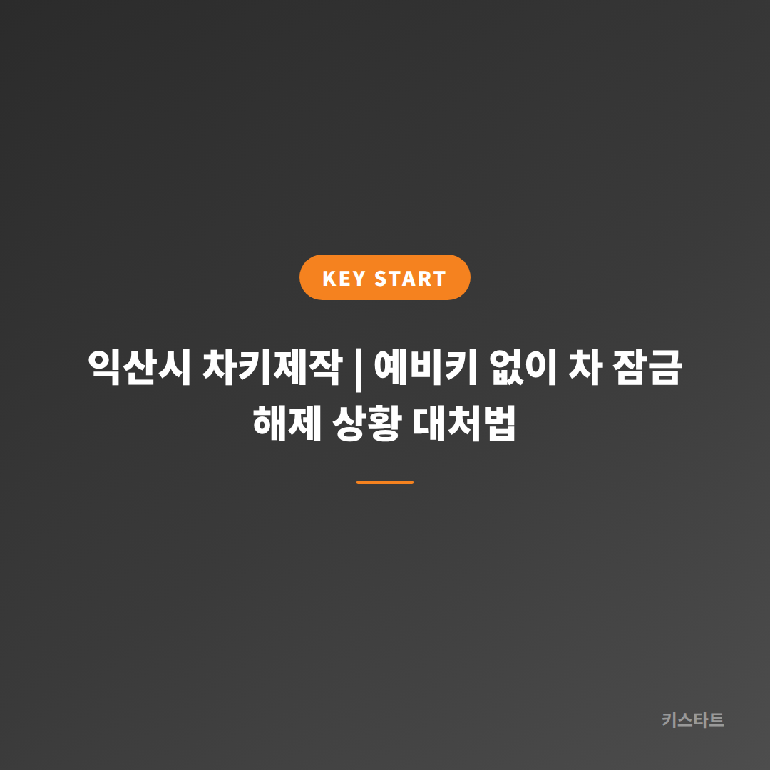 익산시 차키제작 | 예비키 없이 차 잠금 해제 상황 대처법