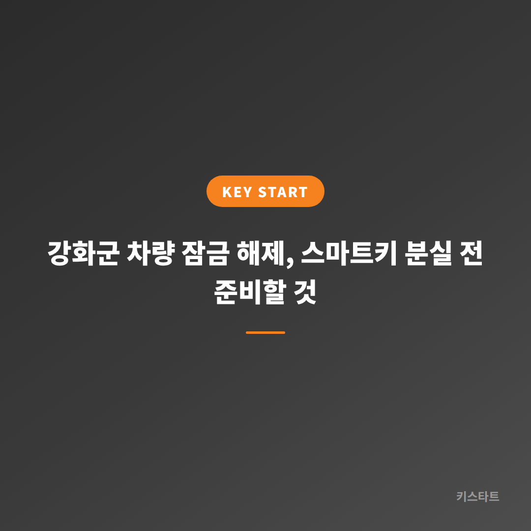 강화군 차량 잠금 해제, 스마트키 분실 전 준비할 것