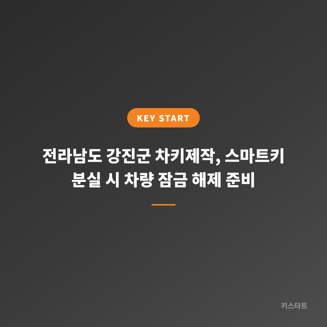 전라남도 강진군 차키제작, 스마트키 분실 시 차량 잠금 해제 준비