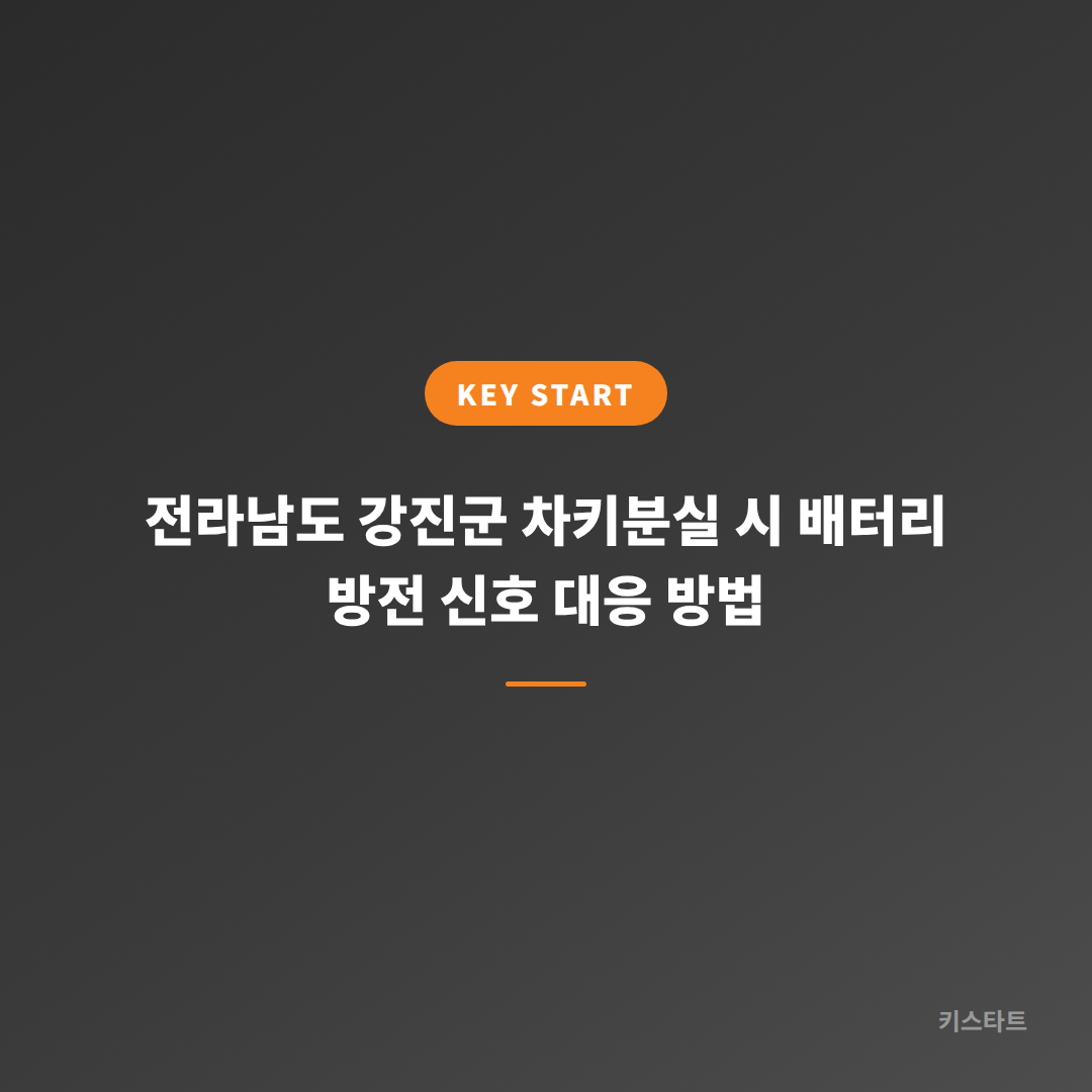 전라남도 강진군 차키분실 시 배터리 방전 신호 대응 방법 대표 이미지