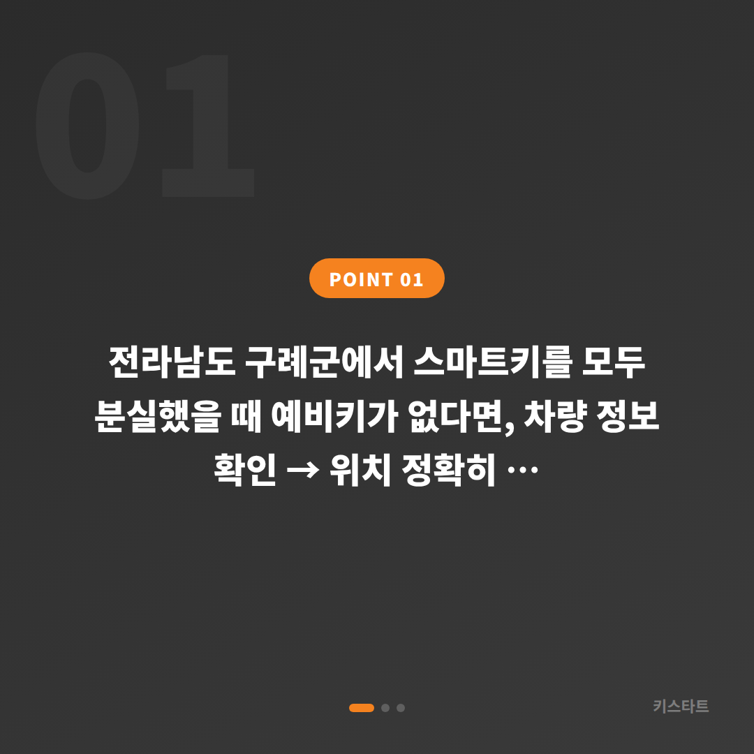 전라남도 구례군 스마트키 차키분실, 예비키 없을 때 먼저 확인할 사항 - 상황 요약