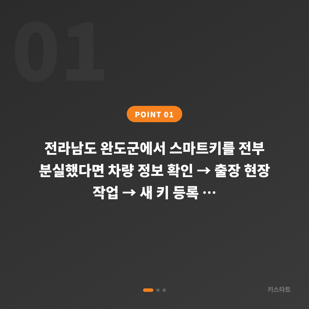 전라남도 완도군 스마트키 전체 분실, 배터리 방전 신호와 차키제작 대응 - 상황 요약