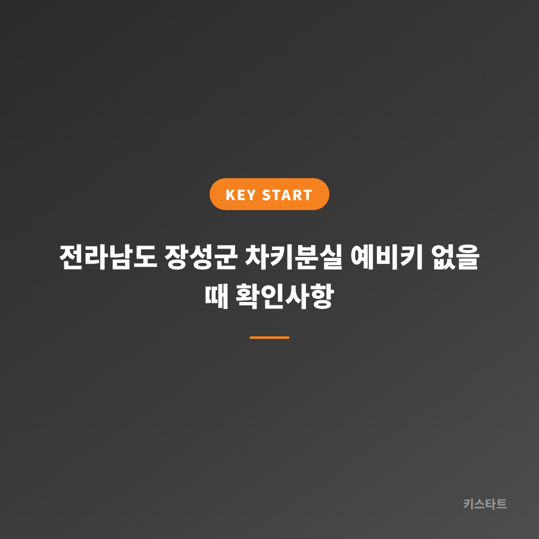 전라남도 장성군 차키분실 예비키 없을 때 확인사항