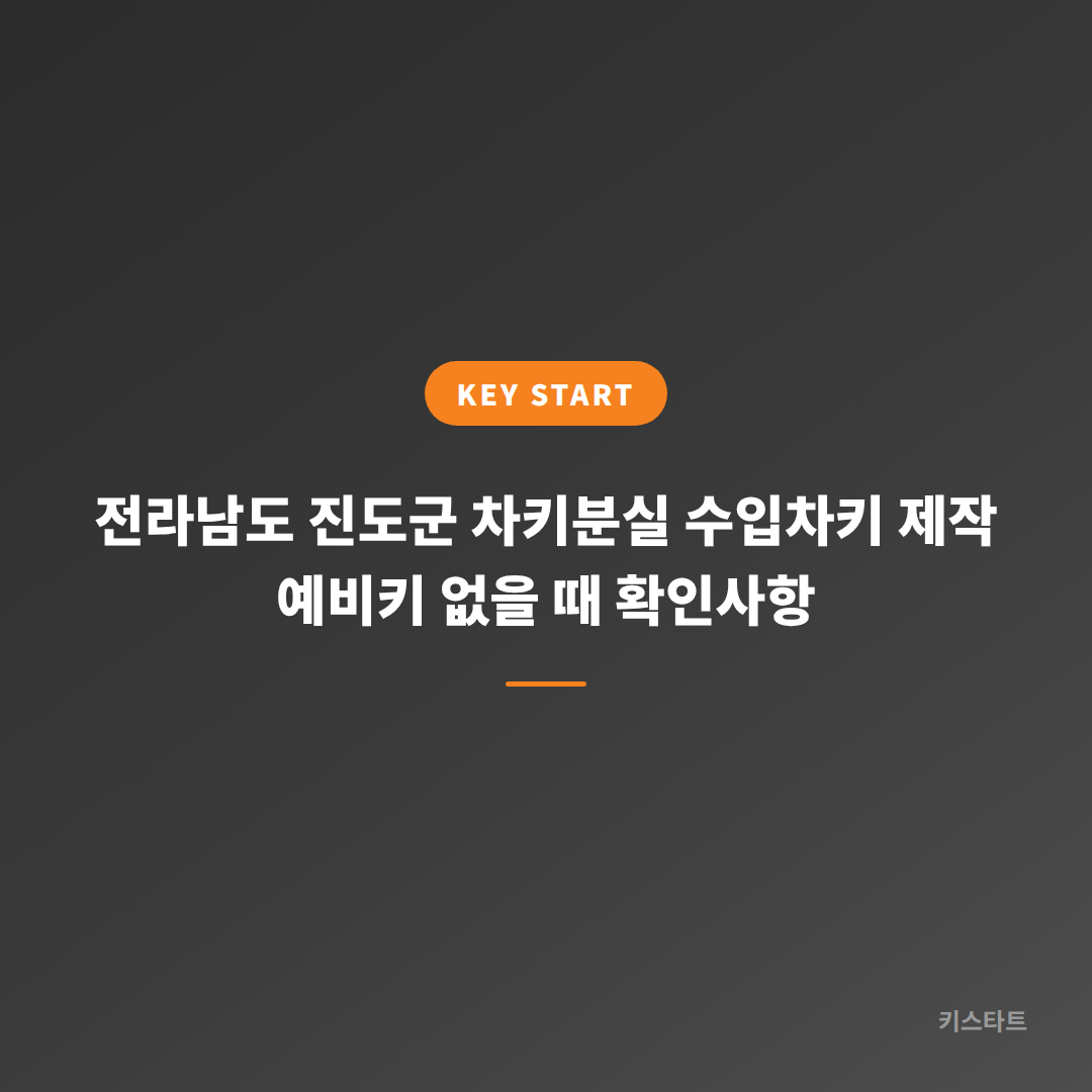 전라남도 진도군 차키분실 수입차키 제작 예비키 없을 때 확인사항