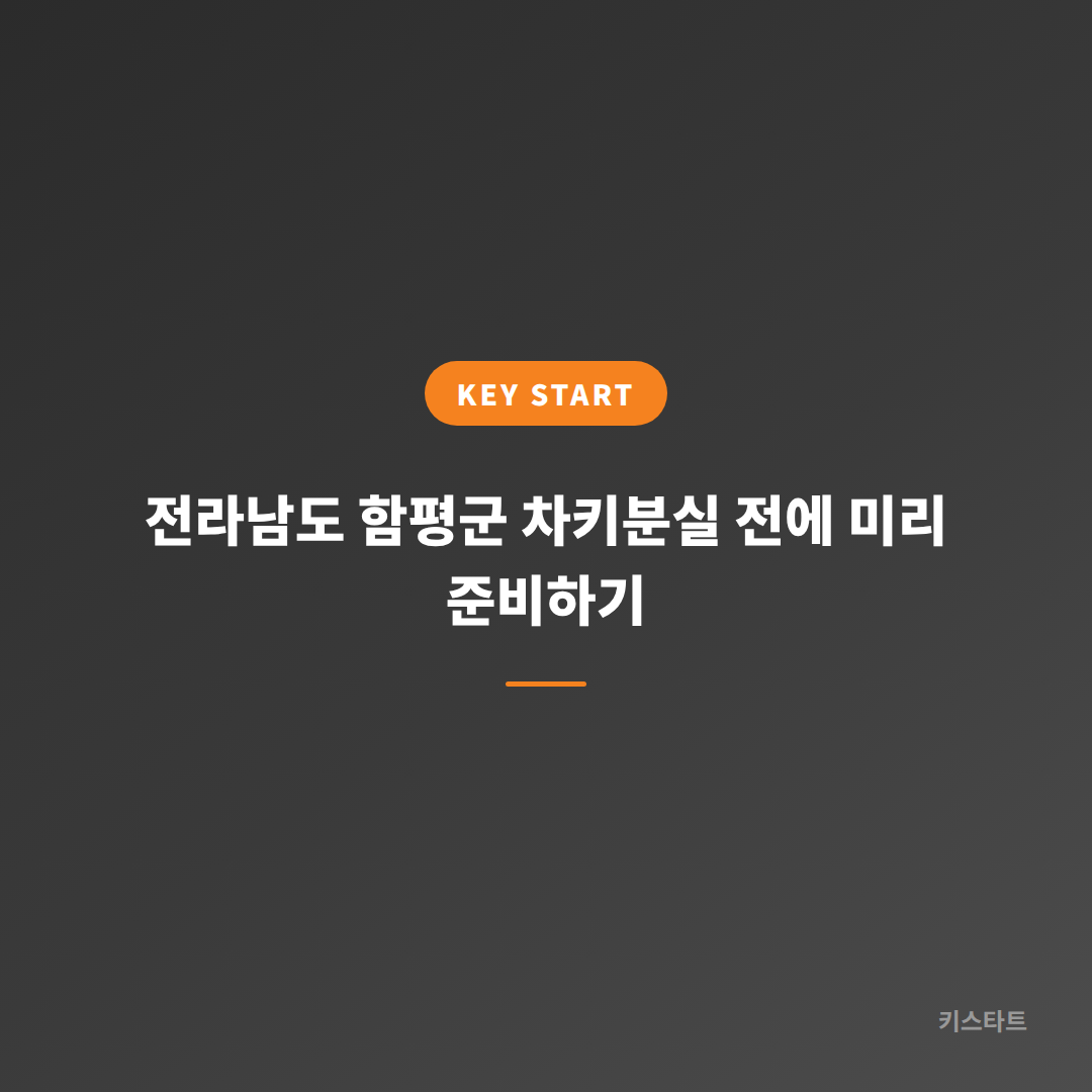 전라남도 함평군 차키분실 전에 미리 준비하기 대표 이미지