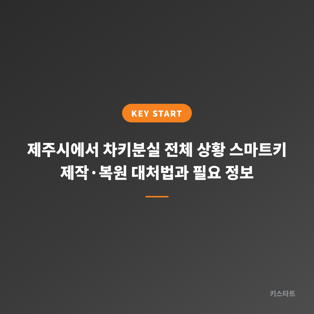 제주시에서 차키분실 전체 상황 스마트키 제작·복원 대처법과 필요 정보
