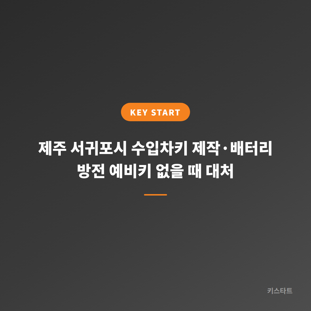제주 서귀포시 수입차키 제작·배터리 방전 예비키 없을 때 대처