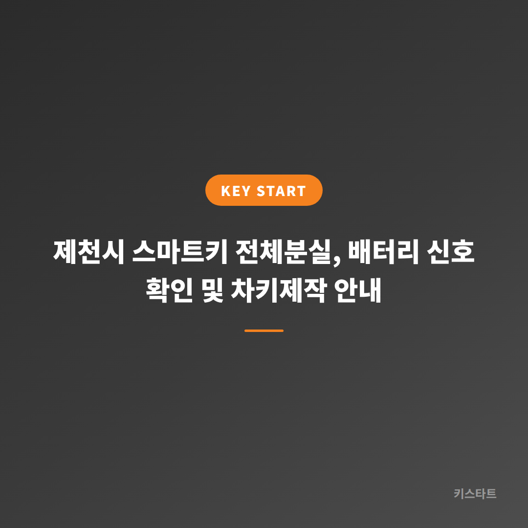 제천시 스마트키 전체분실, 배터리 신호 확인 및 차키제작 안내