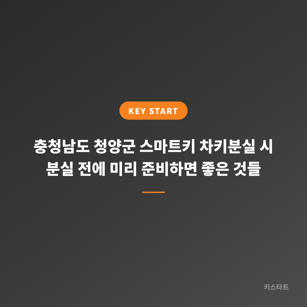 충청남도 청양군 스마트키 차키분실 시 분실 전에 미리 준비하면 좋은 것들