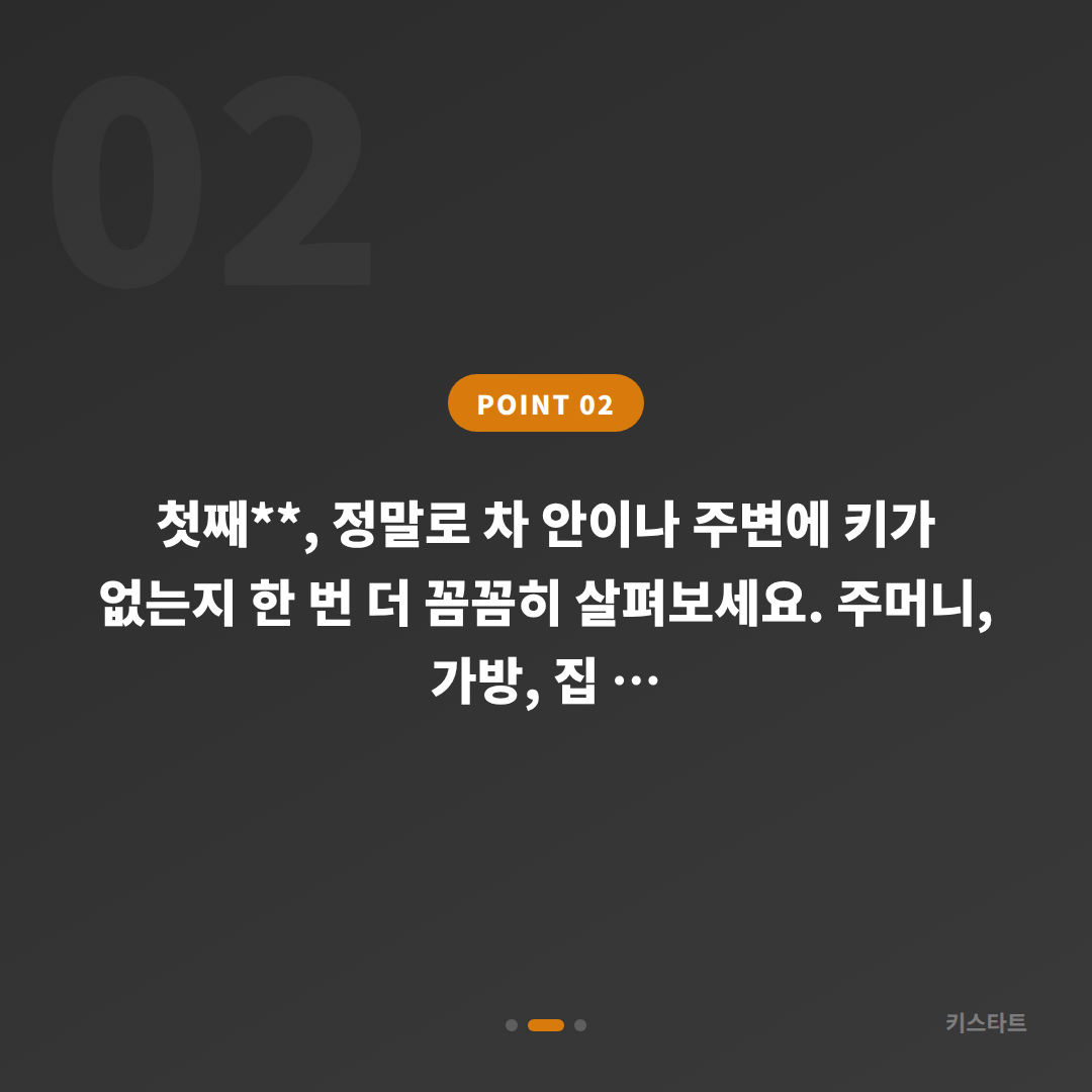 강원 춘천 차키분실 예비키 없을 때 확인사항 및 해결방법 - 현장 체크 포인트