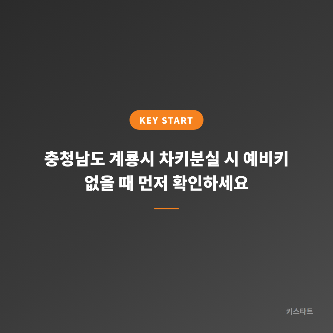 충청남도 계룡시 차키분실 시 예비키 없을 때 먼저 확인하세요