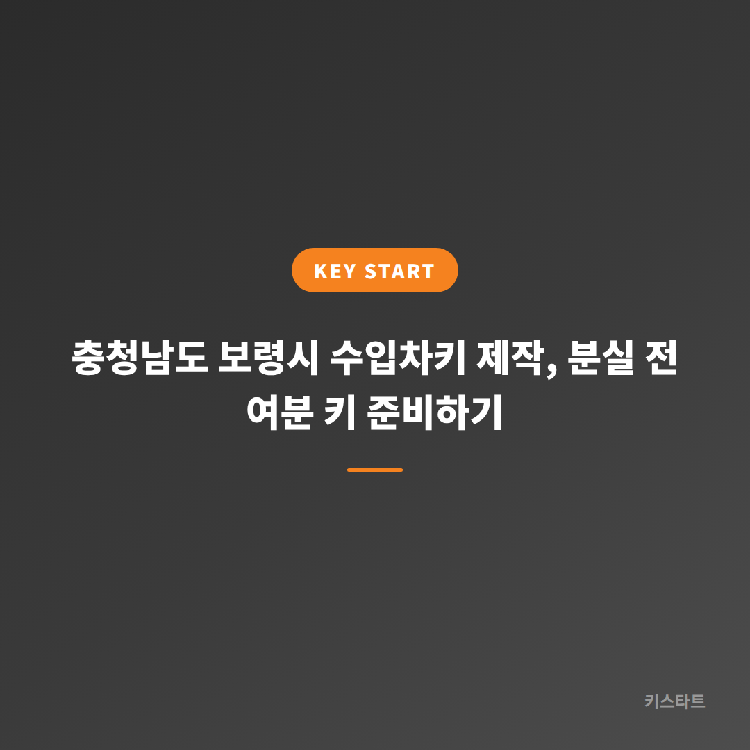 충청남도 보령시 수입차키 제작, 분실 전 여분 키 준비하기