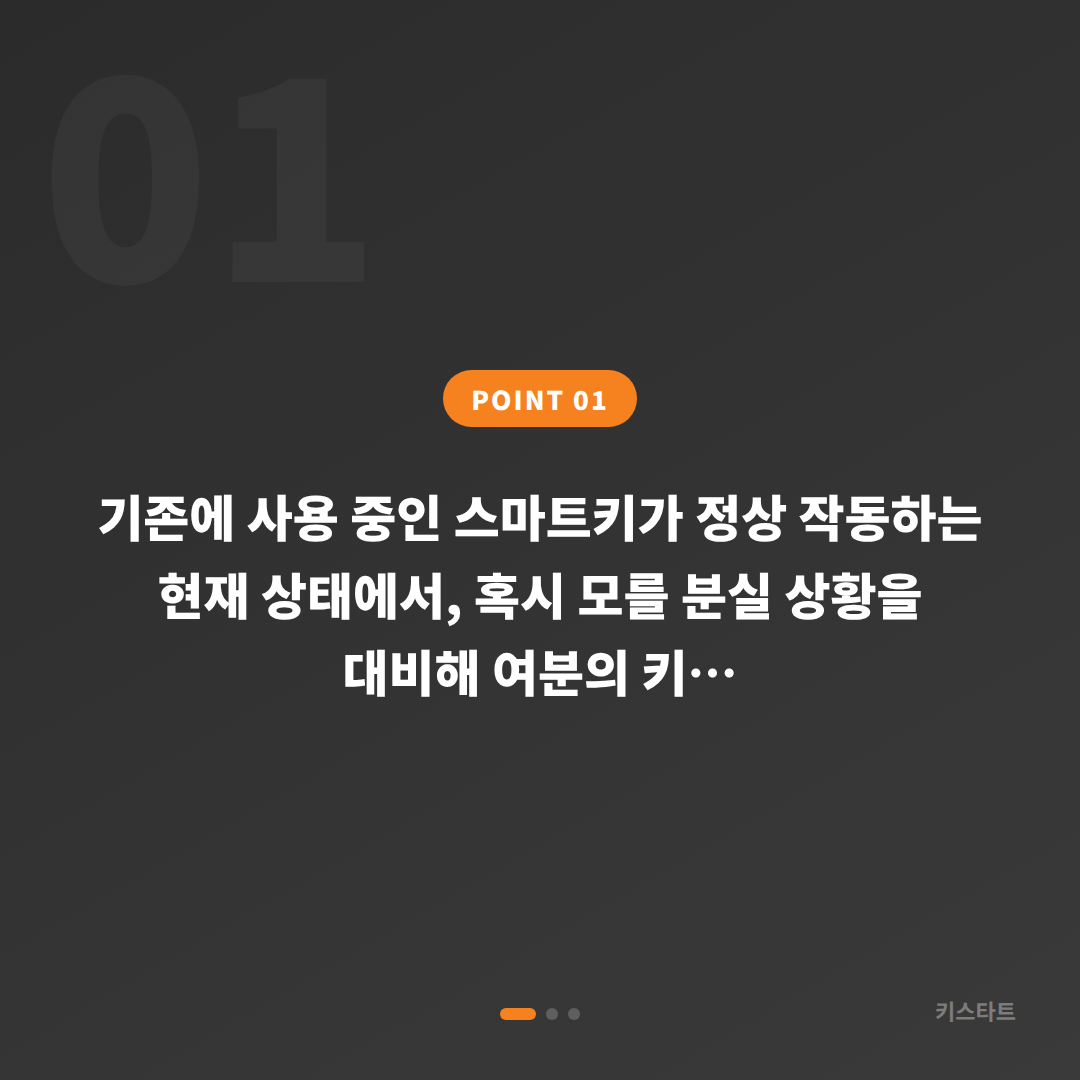 충청남도 보령시 수입차키 제작, 분실 전 여분 키 준비하기 - 상황 요약