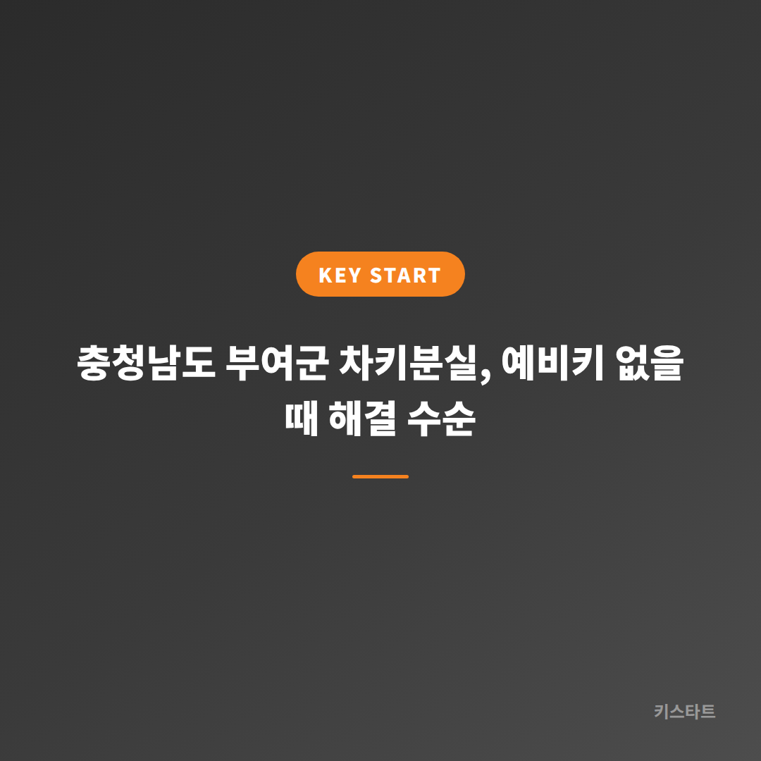 충청남도 부여군 차키분실, 예비키 없을 때 해결 수순