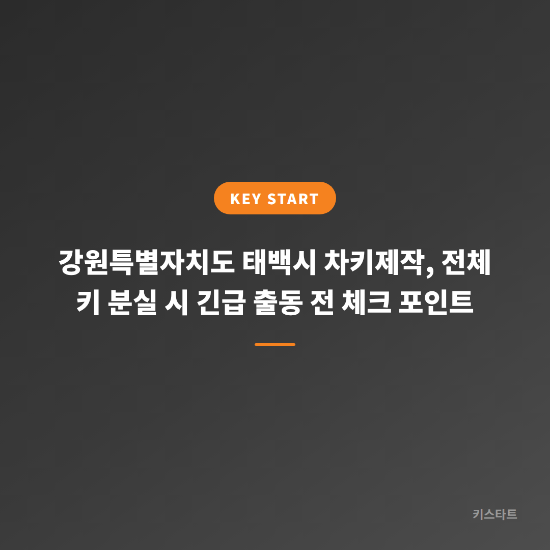 강원특별자치도 태백시 차키제작, 전체 키 분실 시 긴급 출동 전 체크 포인트